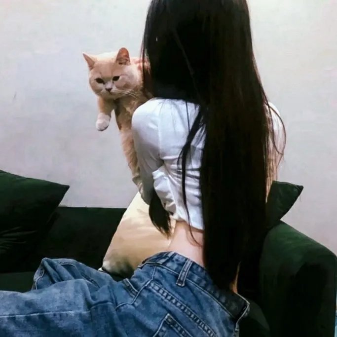 飞机
